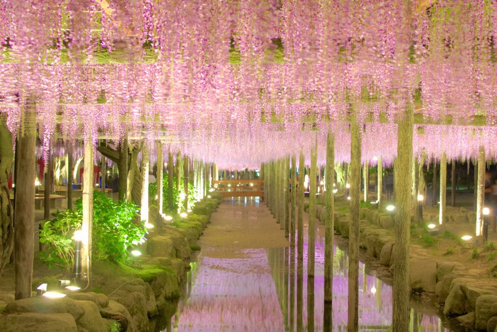 市川ページ Vol.120 津島市天王川公園Park-PFIが始動 －先行して指定管理者の事業